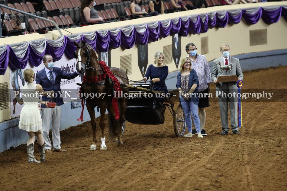 Proof 20YN_09907