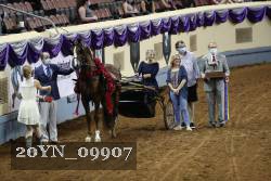 20YN_09907 proof