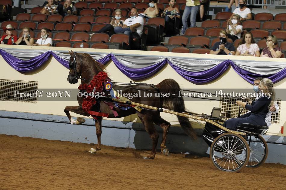Proof 20YN_09932
