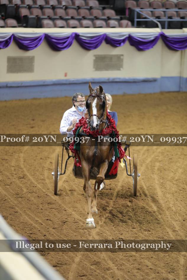 Proof 20YN_09937