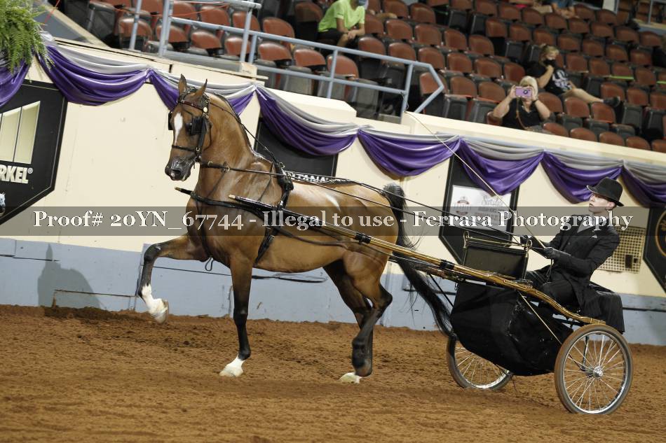 Proof 20YN_67744