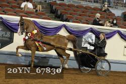 20YN_67830 proof