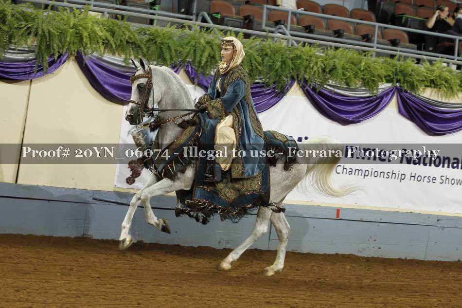 Proof 20YN_06074