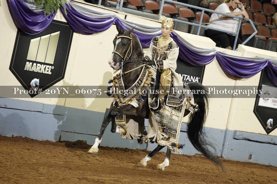 Proof 20YN_06075