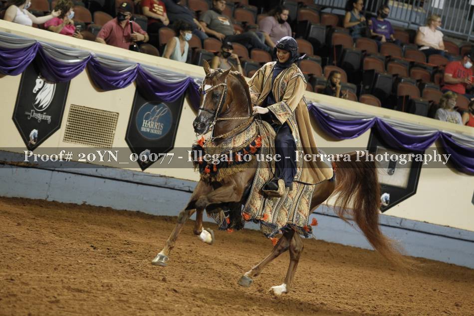 Proof 20YN_06077