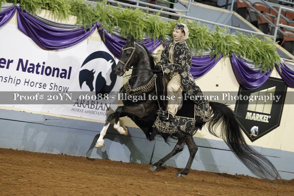 Proof 20YN_06088