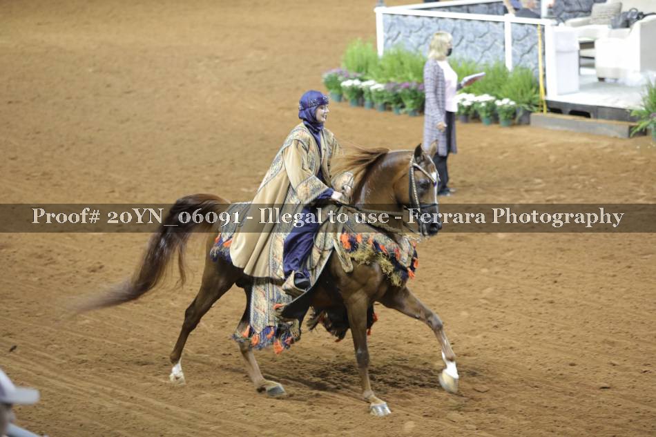 Proof 20YN_06091