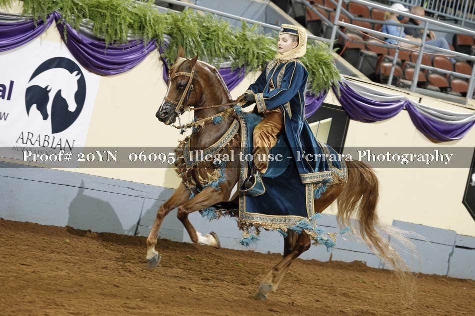 Proof 20YN_06095