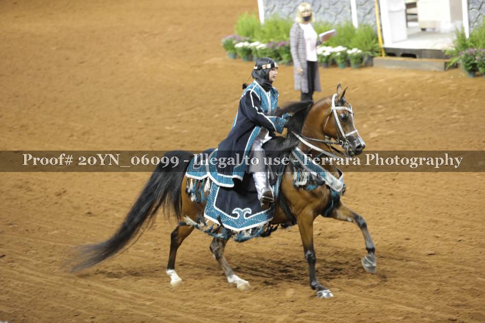 Proof 20YN_06099