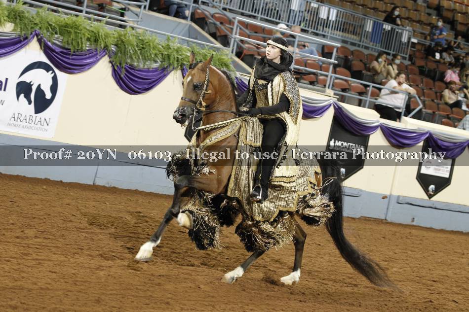 Proof 20YN_06103