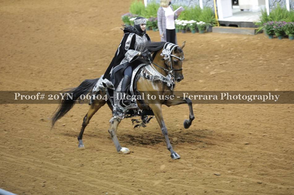 Proof 20YN_06104