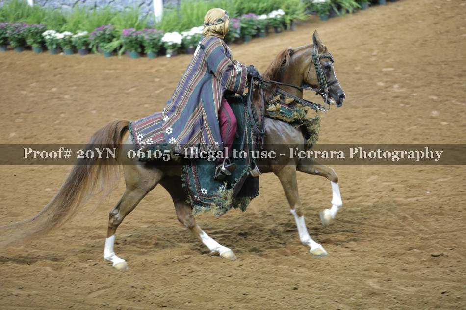 Proof 20YN_06105