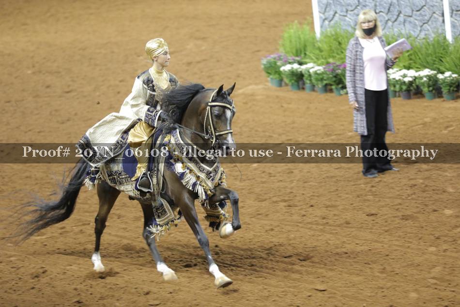 Proof 20YN_06108