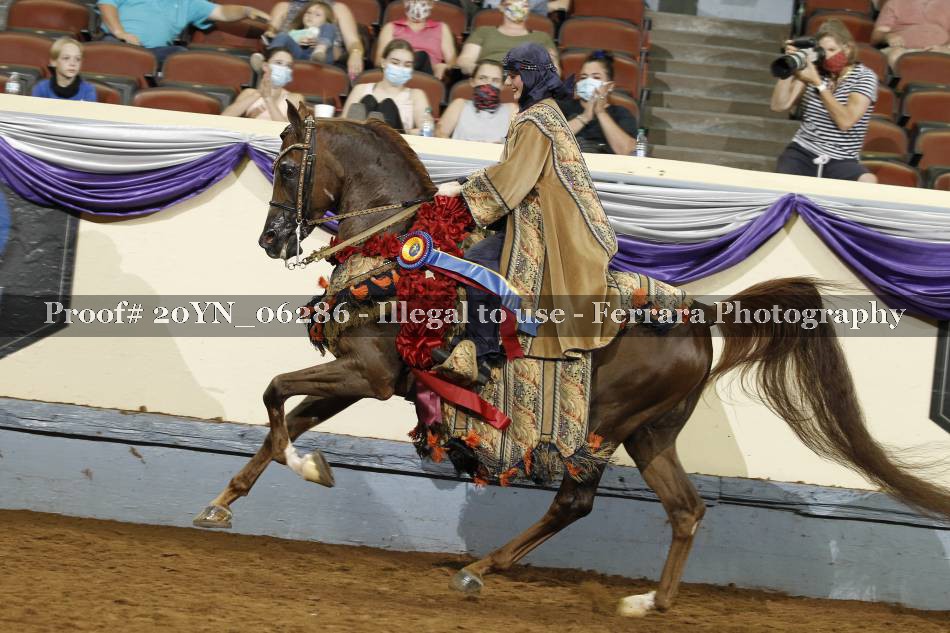 Proof 20YN_06286