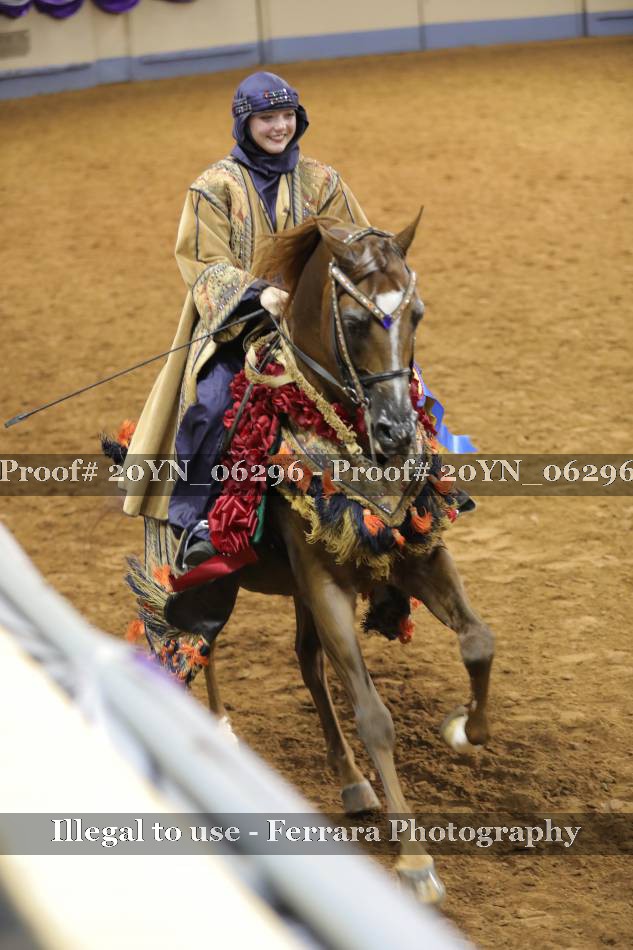 Proof 20YN_06296