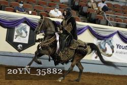 20YN_35882 proof
