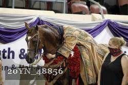20YN_48856 proof