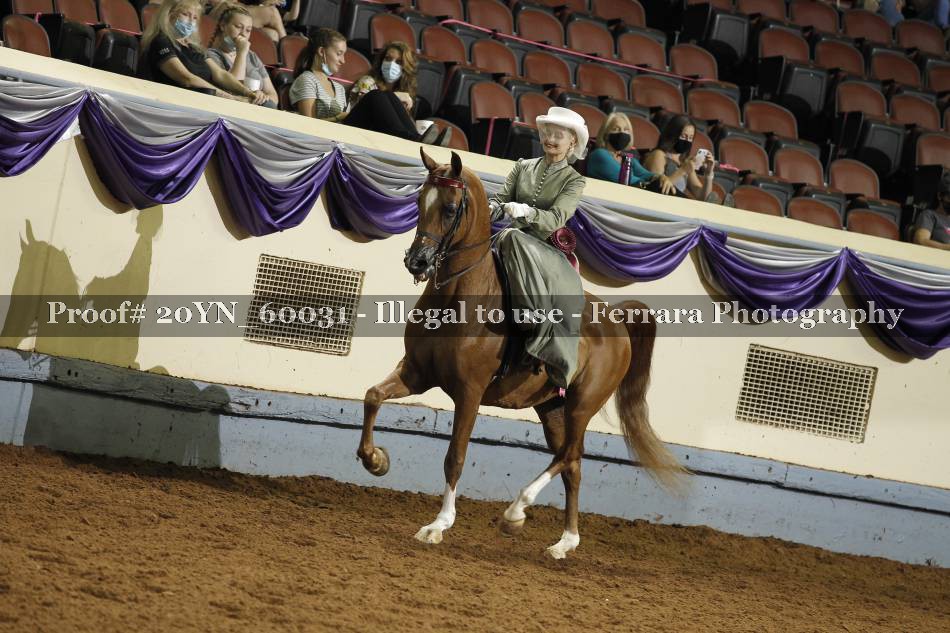 Proof 20YN_60031