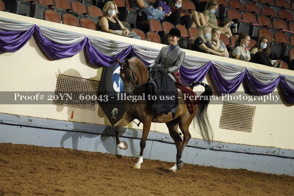 Proof 20YN_60043