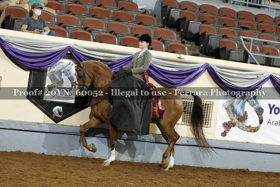 Proof 20YN_60052