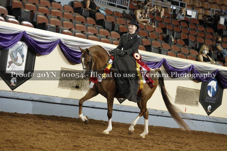 Proof 20YN_60054