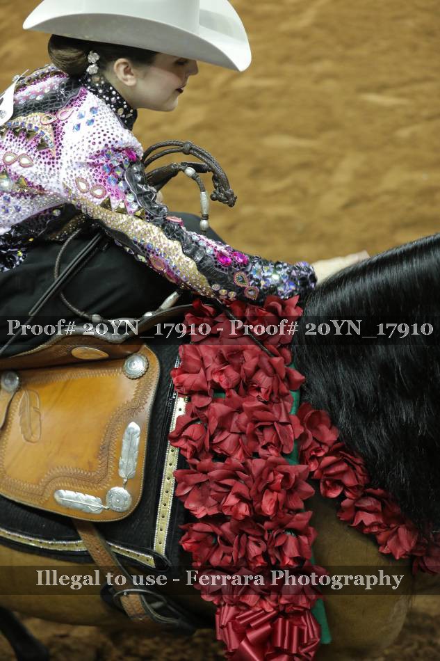 Proof 20YN_17910