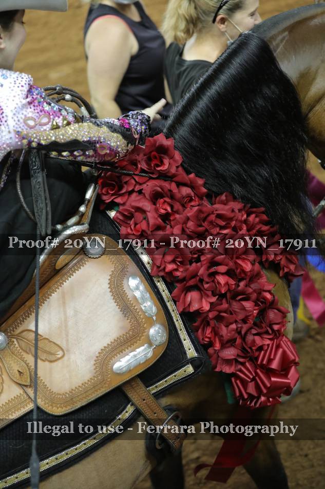Proof 20YN_17911