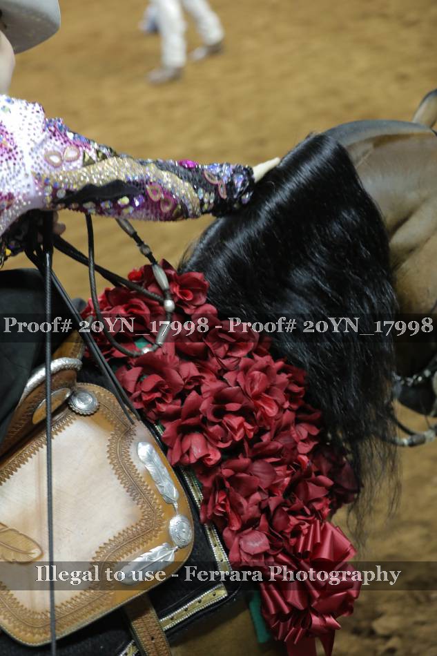 Proof 20YN_17998