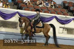 20YN_52221 proof