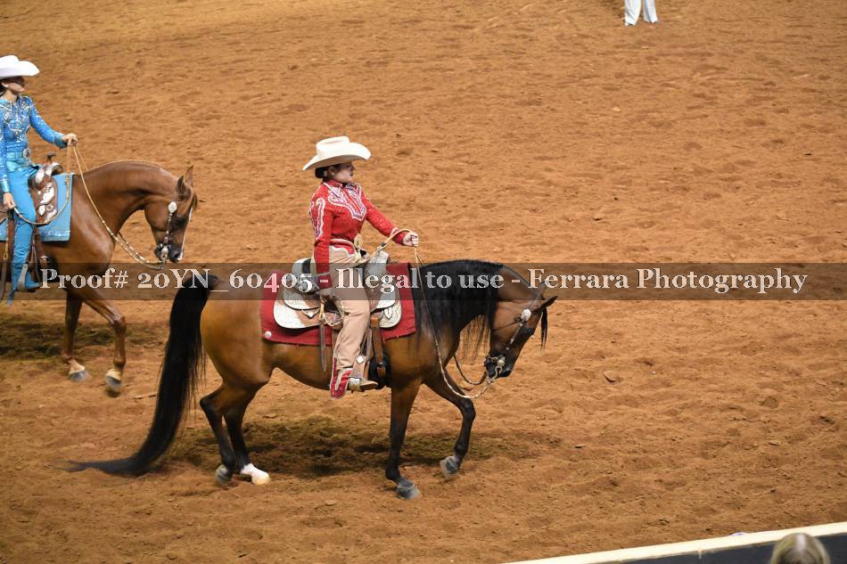 Proof 20YN_60405