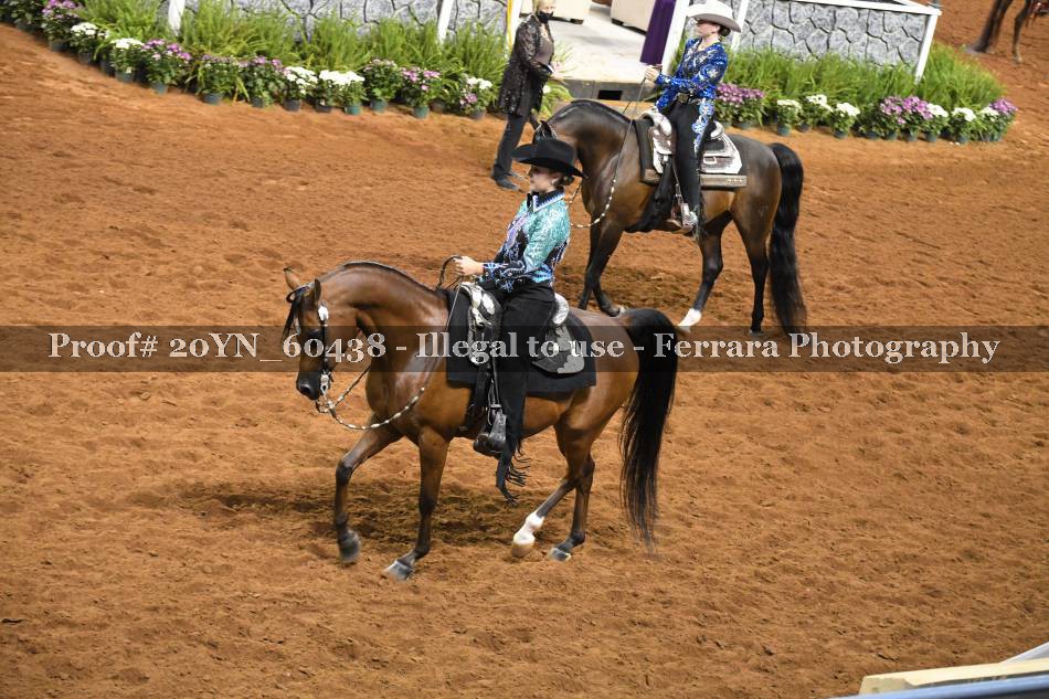 Proof 20YN_60438