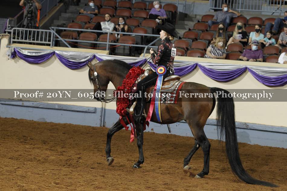 Proof 20YN_60568