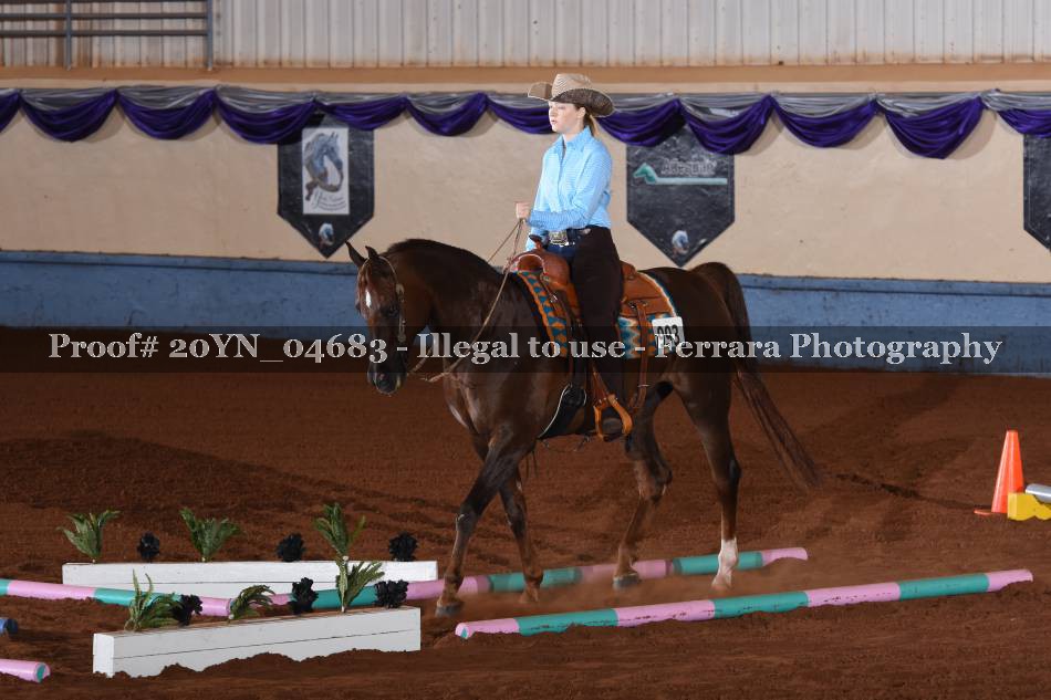 Proof 20YN_04683
