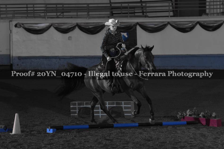 Proof 20YN_04710