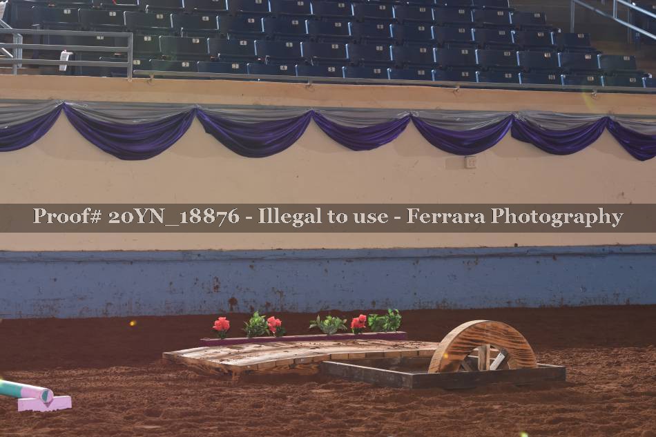 Proof 20YN_18876