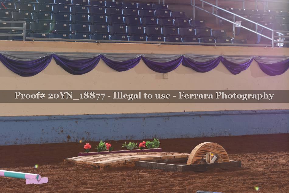Proof 20YN_18877