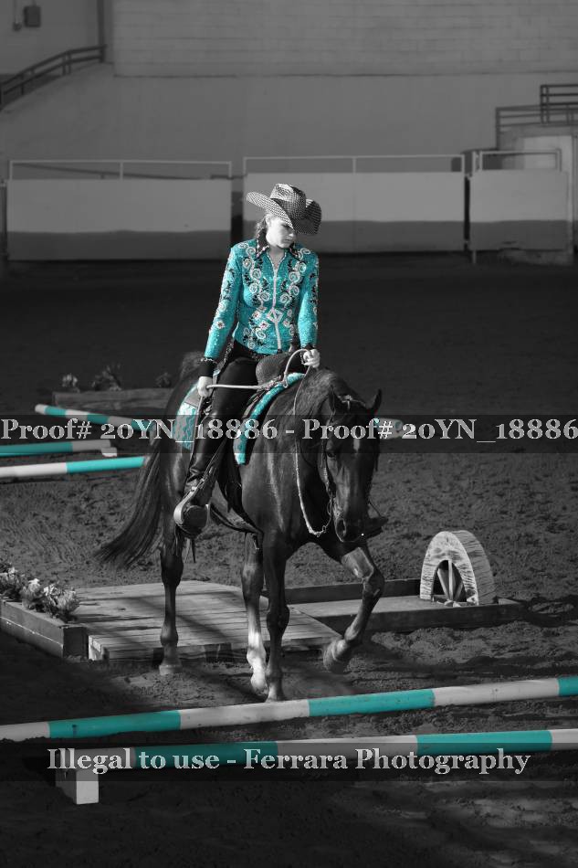 Proof 20YN_18886