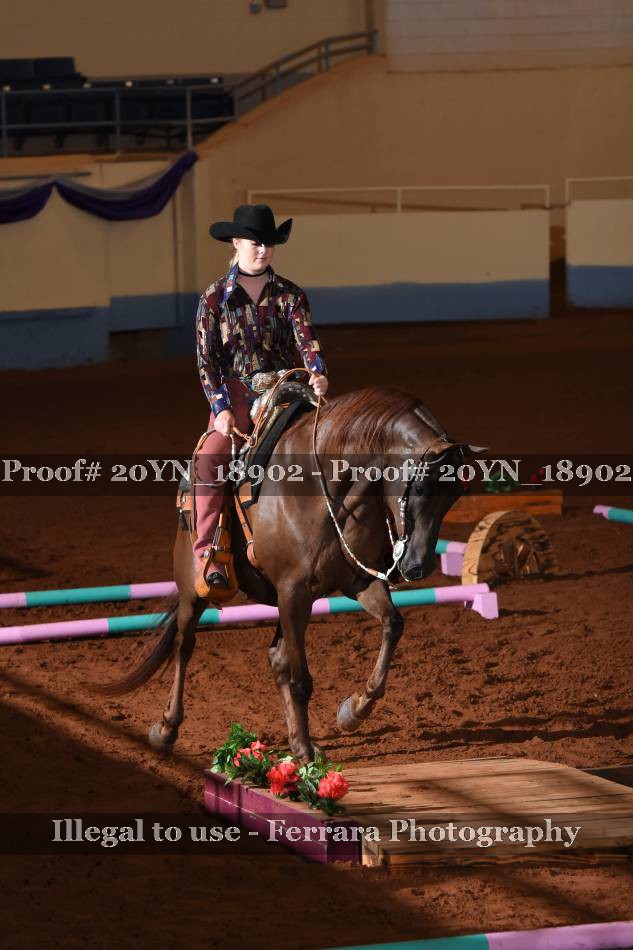 Proof 20YN_18902