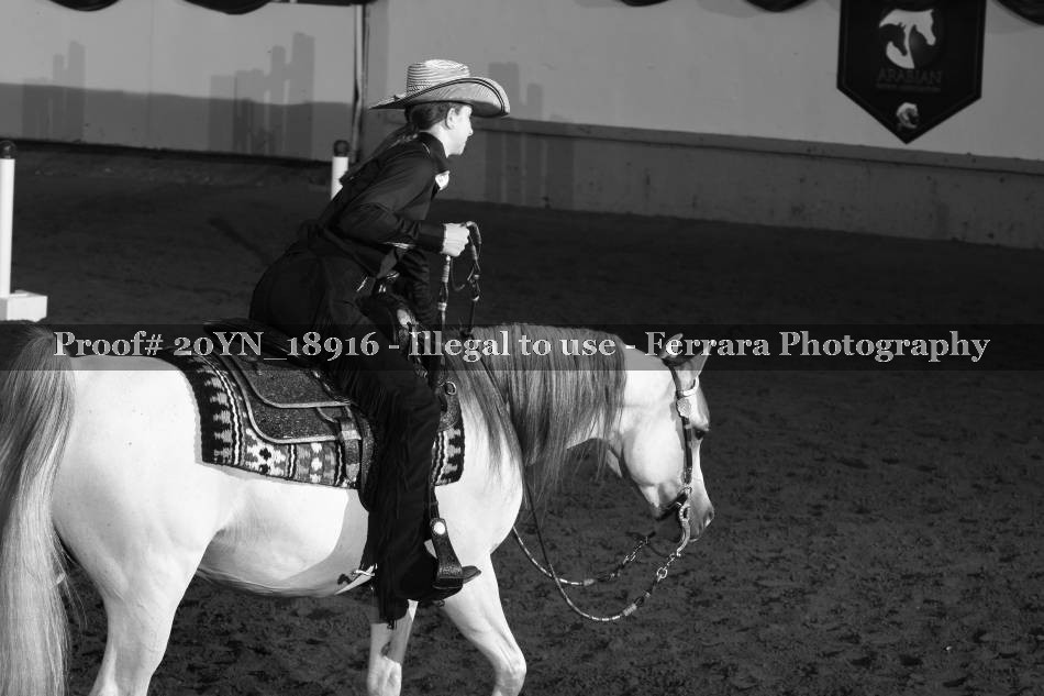 Proof 20YN_18916