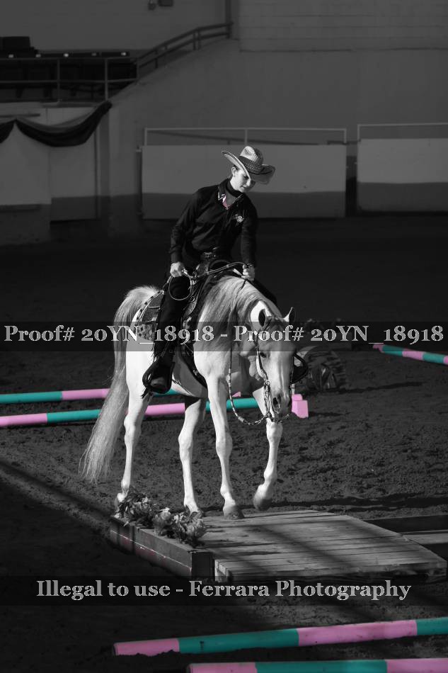 Proof 20YN_18918