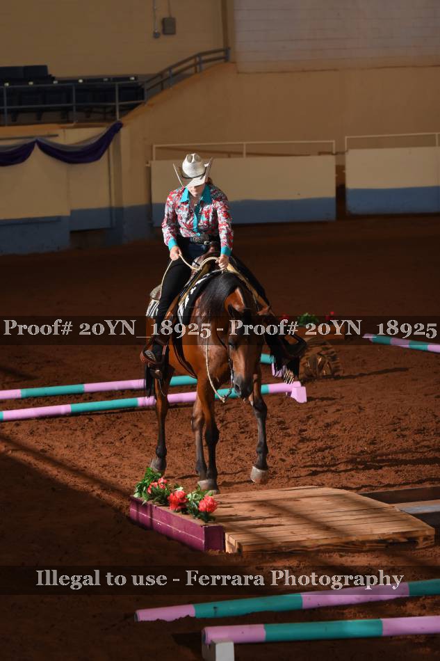 Proof 20YN_18925
