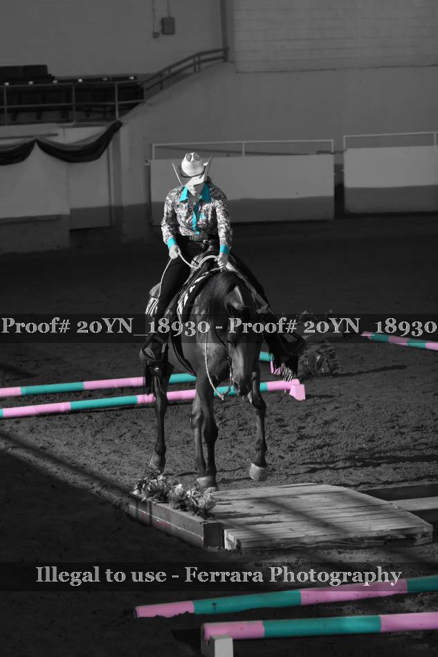 Proof 20YN_18930