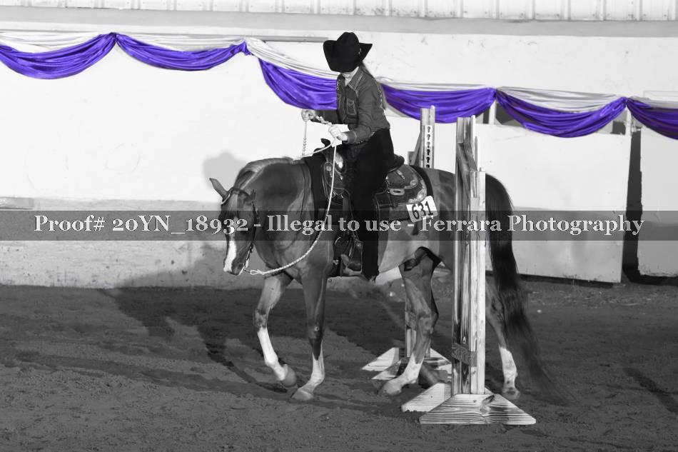 Proof 20YN_18932