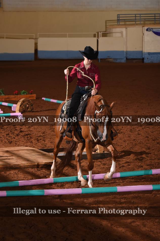 Proof 20YN_19008