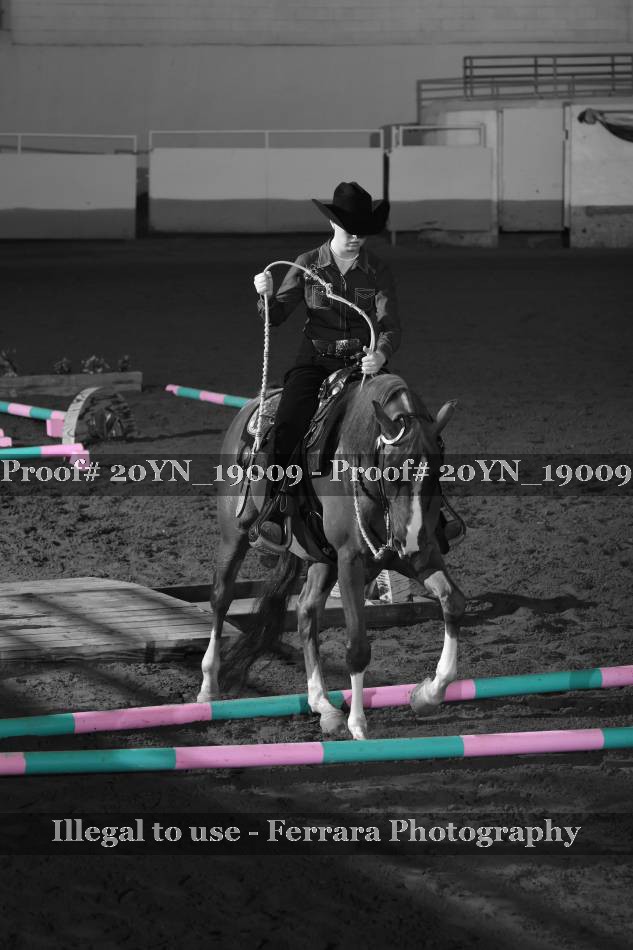Proof 20YN_19009