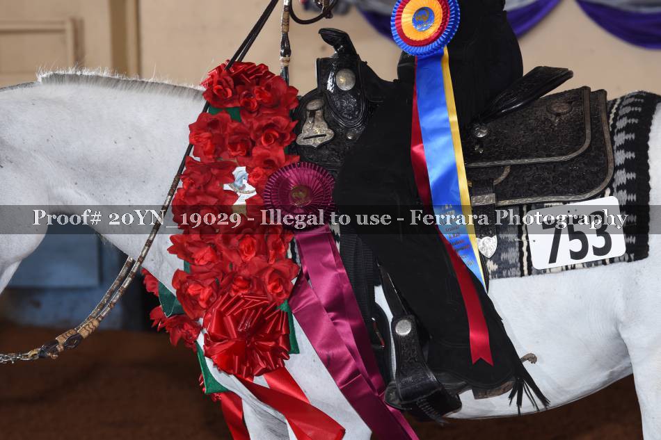 Proof 20YN_19029