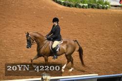20YN_42200 proof