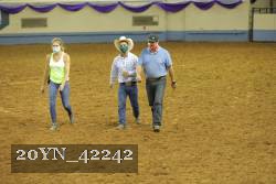 20YN_42242 proof