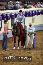 20YN_42295 proof