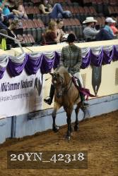 20YN_42318 proof